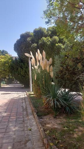 عکس بوستان هنرمندان