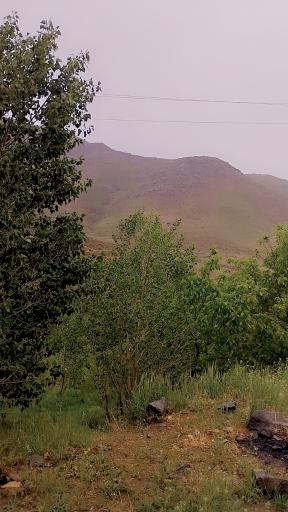 عکس گوشلان