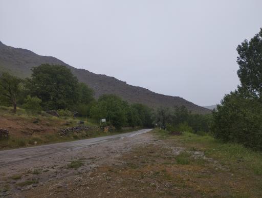 عکس گوشلان