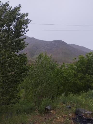 عکس گوشلان