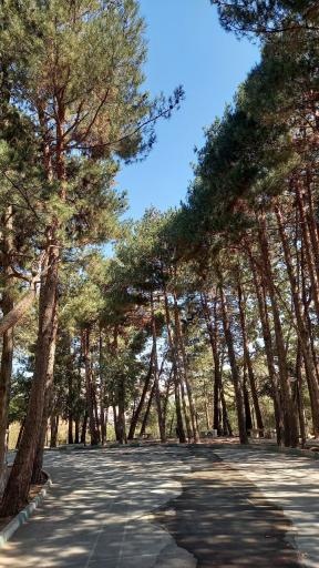 پارک پیشکسوت