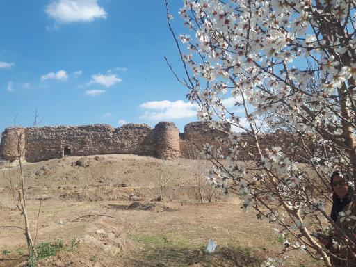 عکس کاروانسرای سنگی علی آباد