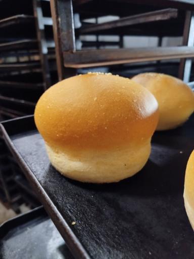 نان فانتزی شهنان