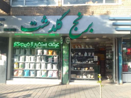 عکس برنج گلدشت