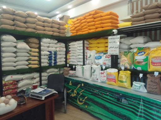 عکس برنج گلدشت