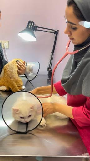 کلینیک دامپزشکی مرکزی دکتر مریم حیدرلو