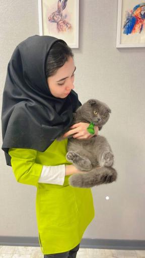 کلینیک دامپزشکی مرکزی دکتر مریم حیدرلو