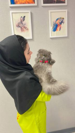 کلینیک دامپزشکی مرکزی دکتر مریم حیدرلو