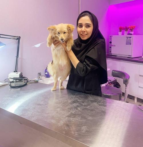 عکس کلینیک دامپزشکی مرکزی دکتر مریم حیدرلو