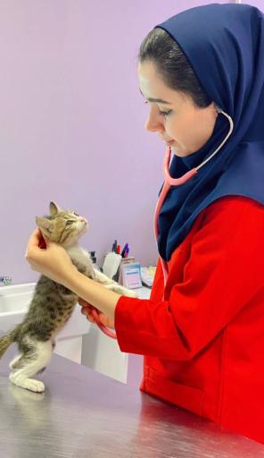 کلینیک دامپزشکی مرکزی دکتر مریم حیدرلو