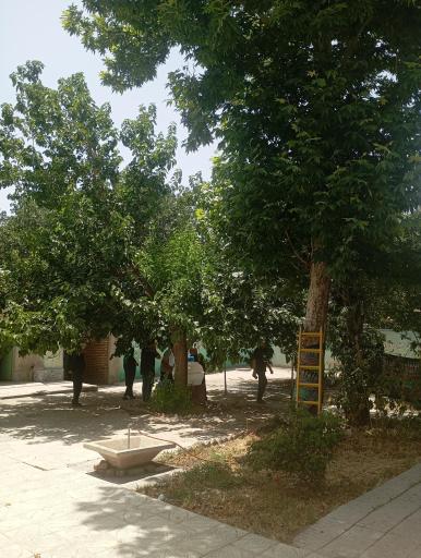عکس مسجد جامع ننج ملایر