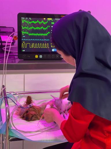 عکس کلینیک دامپزشکی مرکزی دکتر مریم حیدرلو