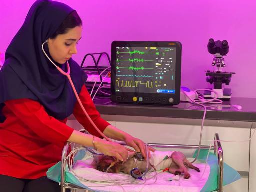 عکس کلینیک دامپزشکی مرکزی دکتر مریم حیدرلو