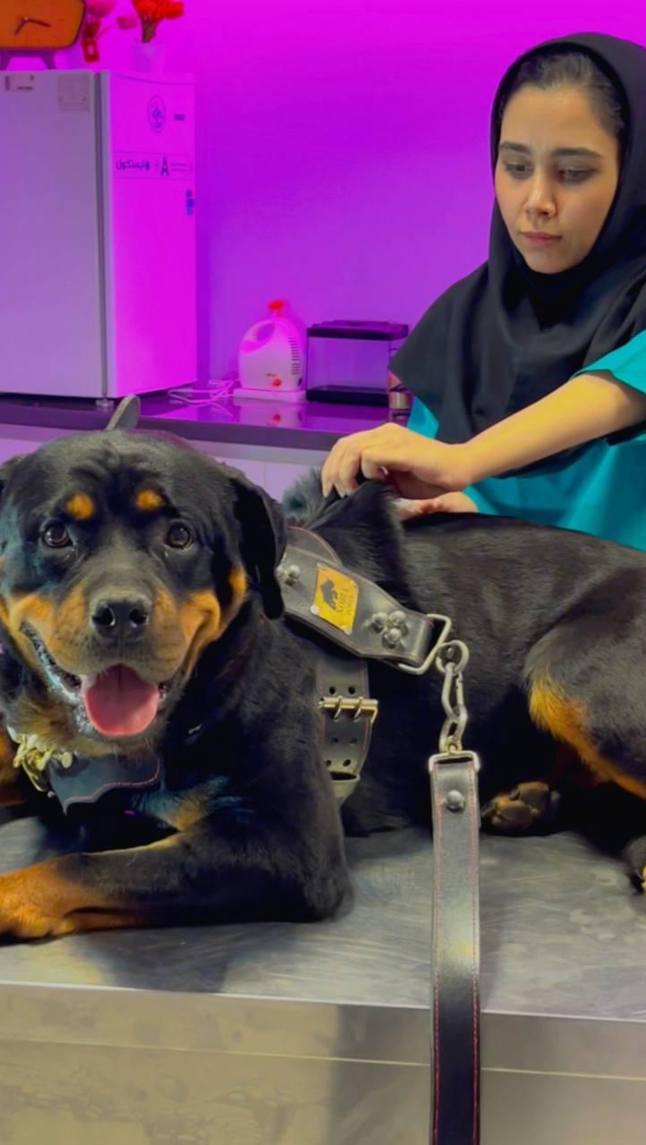 عکس کلینیک دامپزشکی مرکزی دکتر مریم حیدرلو