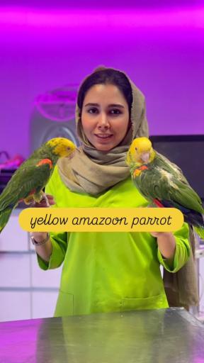 عکس کلینیک دامپزشکی مرکزی دکتر مریم حیدرلو