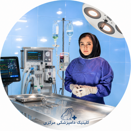 عکس کلینیک دامپزشکی مرکزی دکتر مریم حیدرلو