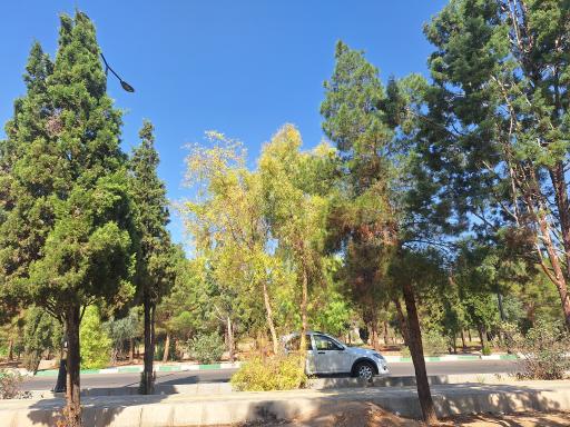 عکس پارک جنگلی کومش