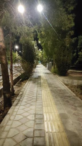 عکس پارک جنگلی کومش