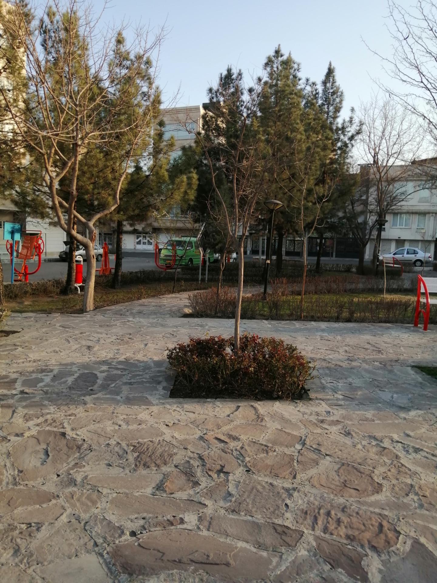 عکس بوستان گلفام