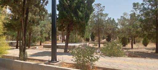 عکس پارک جنگلی کومش