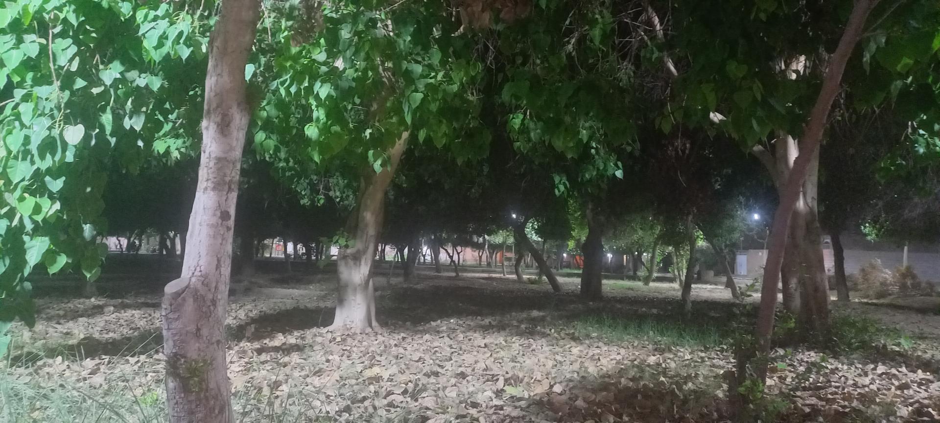 عکس پارک نسترن