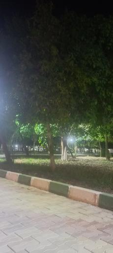 عکس پارک نسترن