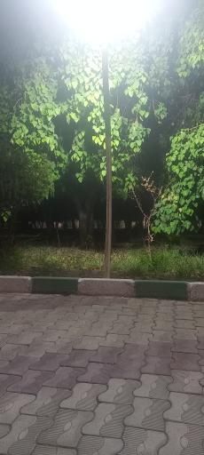 عکس پارک نسترن