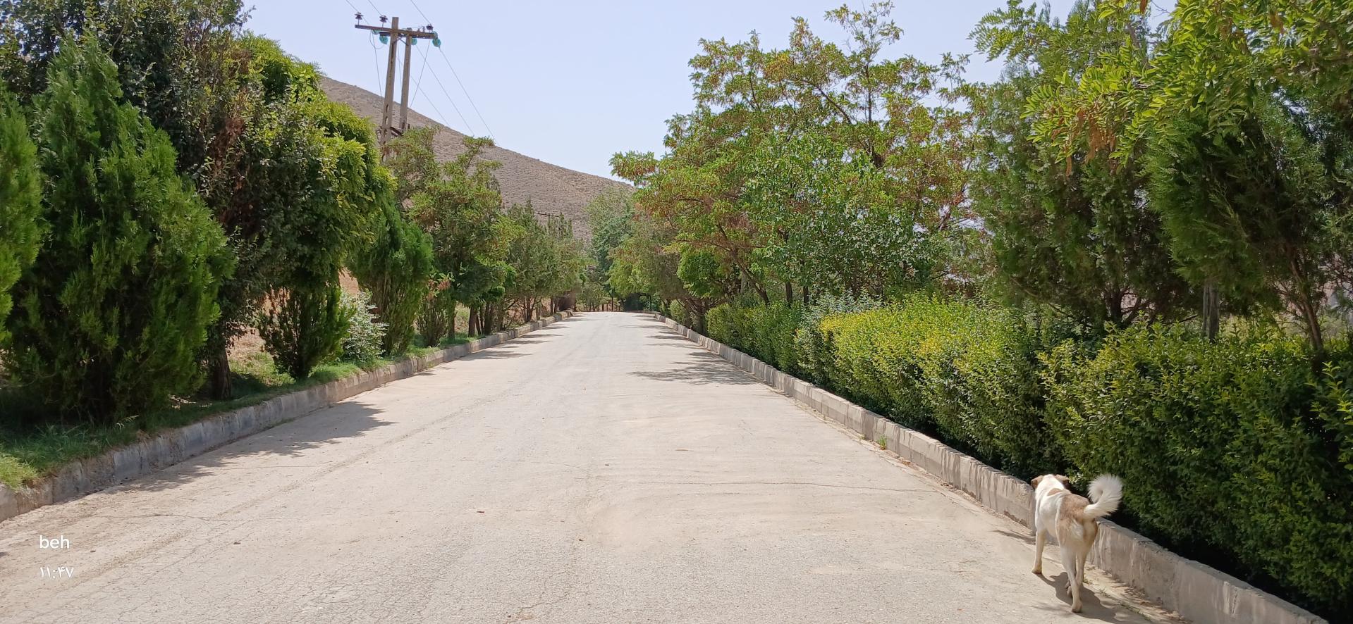 عکس مجتمع آموزشی تفریحی بانک کشاورزی