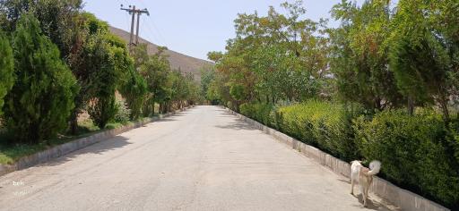 عکس مجتمع آموزشی تفریحی بانک کشاورزی