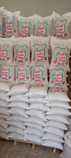 عکس برنج مالک 