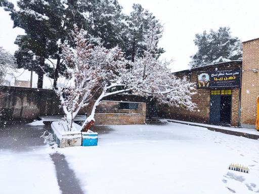 عکس مدرسه شطرنج ذهن زیبا