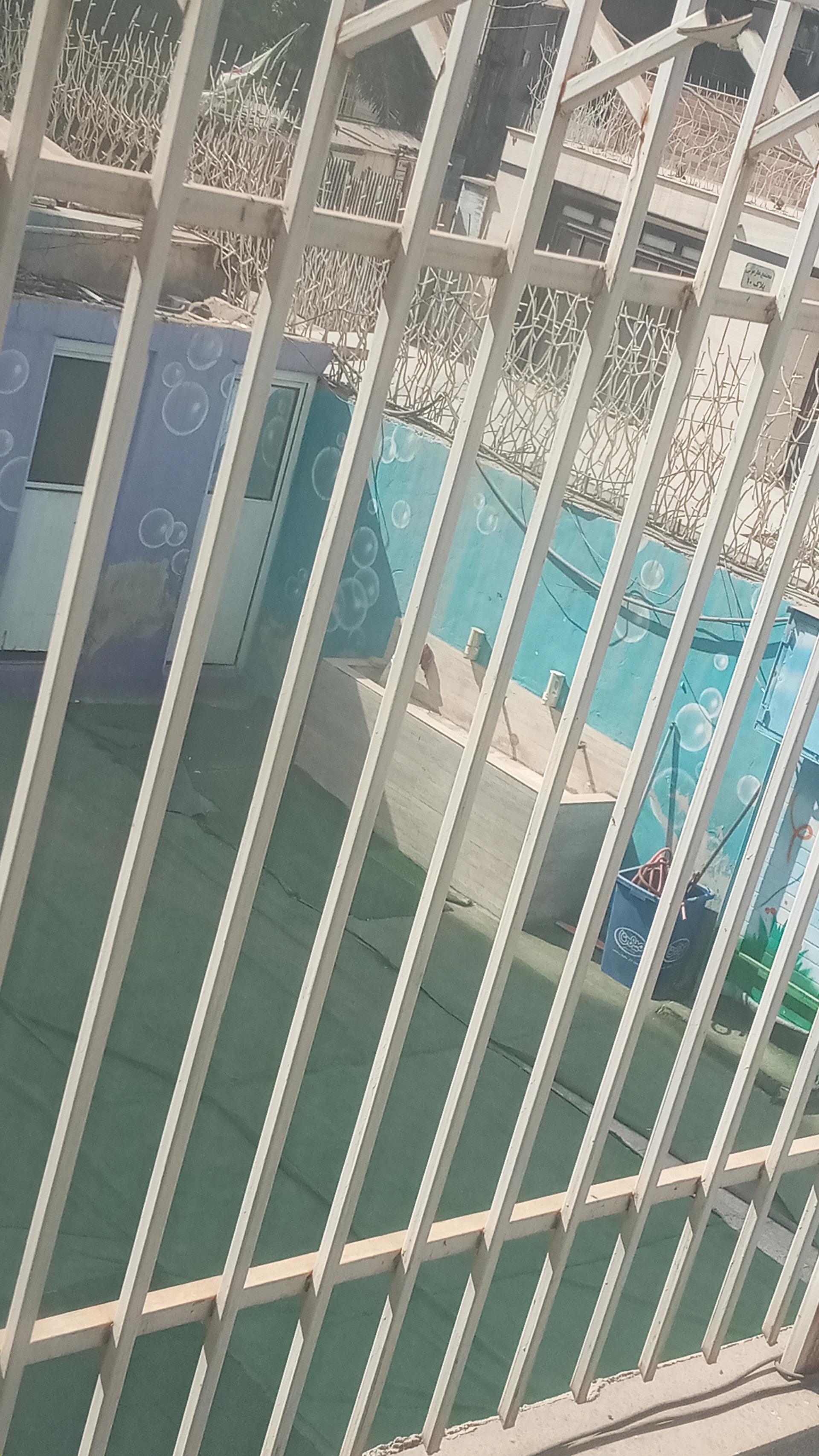 عکس دبستان و پیش دبستان پسرانه نویان علم