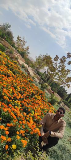 عکس باغ گل های شیراز