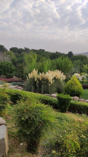 عکس باغ گل های شیراز