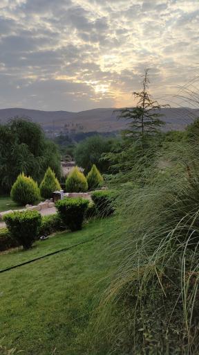 عکس باغ گل های شیراز