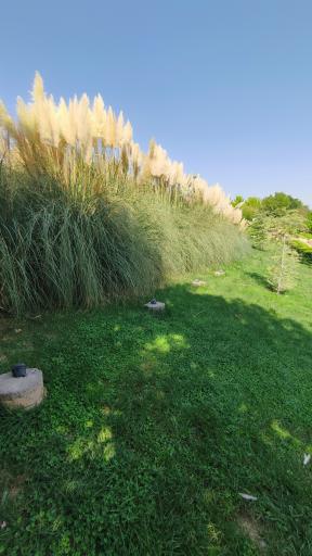 عکس باغ گل های شیراز