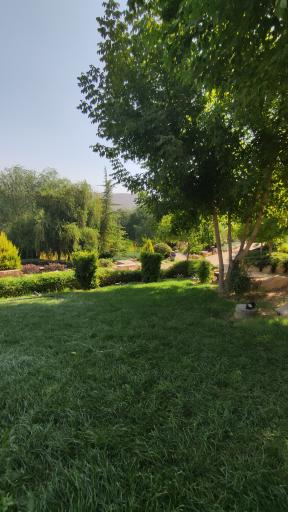 عکس باغ گل های شیراز