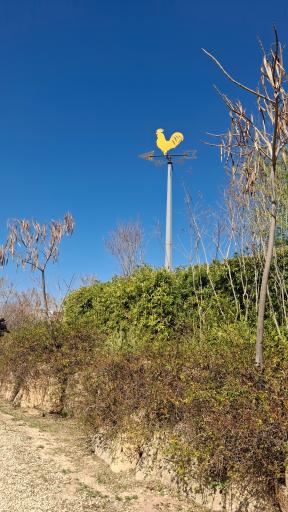 عکس باغ گل های شیراز