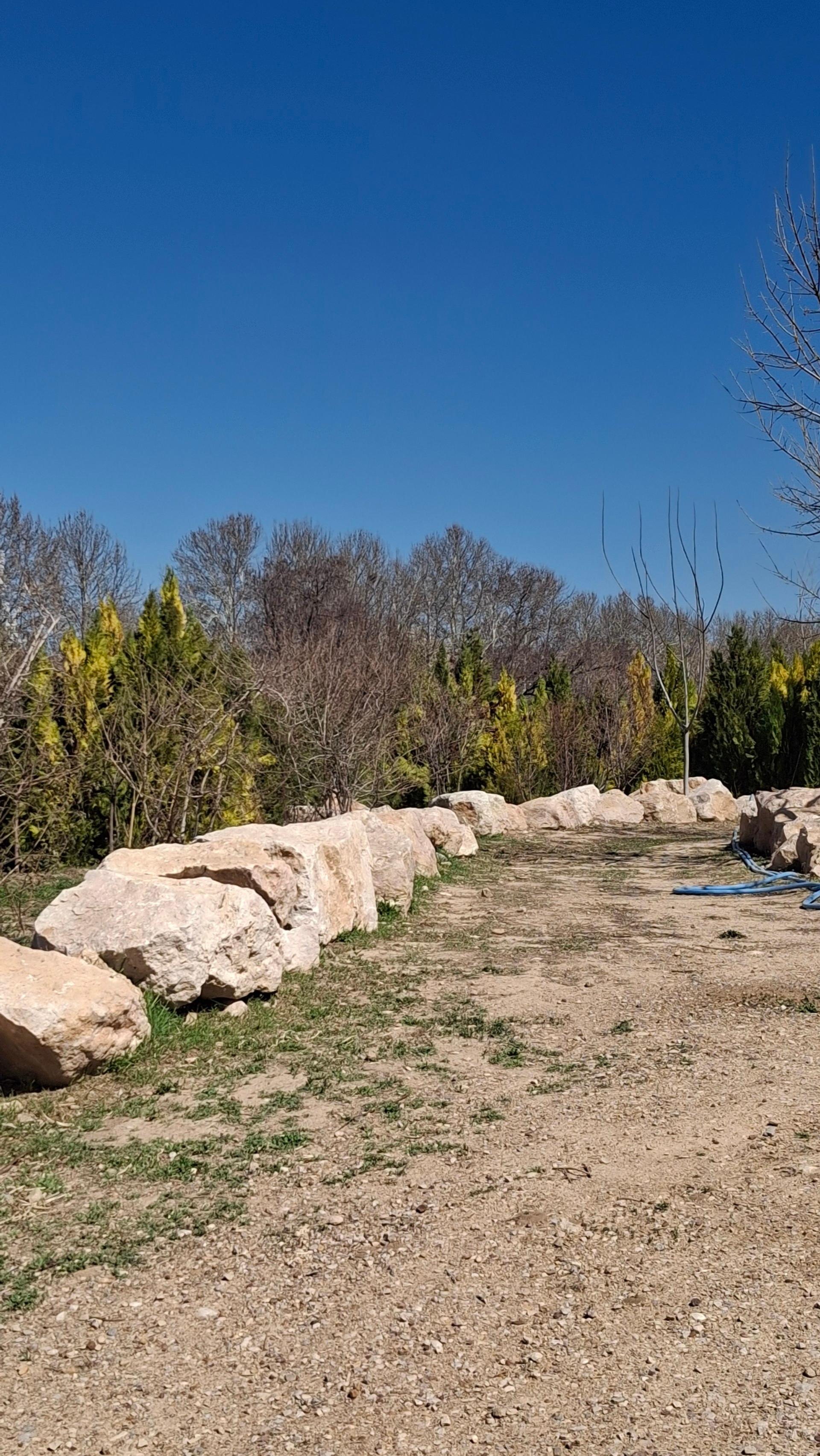 عکس باغ گل های شیراز