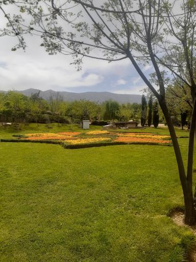 عکس باغ گل های شیراز