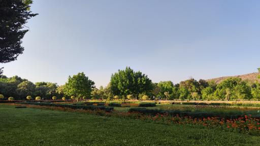 عکس باغ گل های شیراز