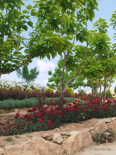 عکس باغ گل های شیراز