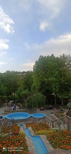 عکس باغ پونه