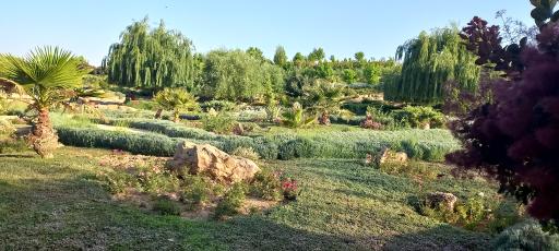 عکس باغ گل های شیراز
