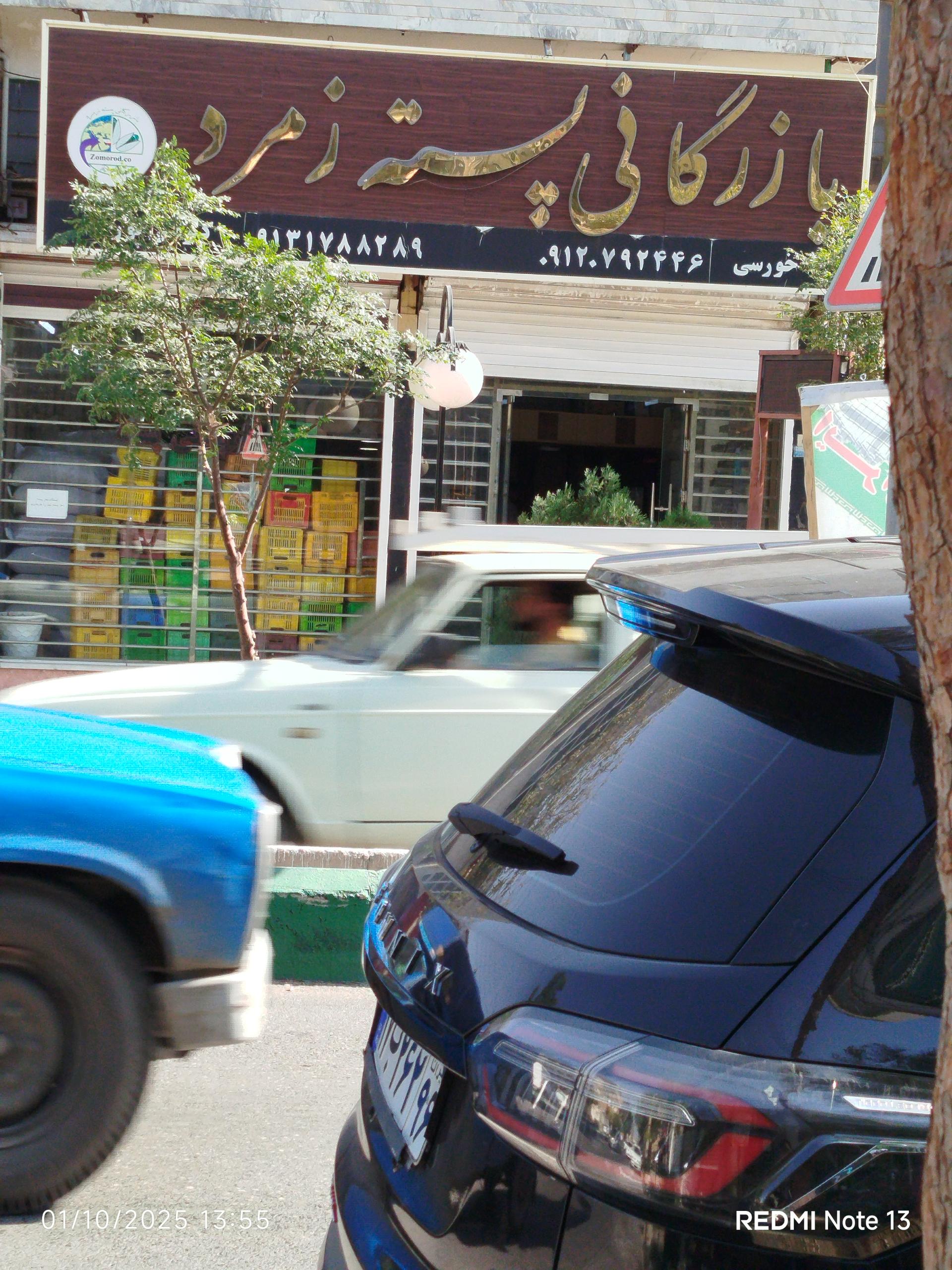 عکس بازرگانی پسته زمرد