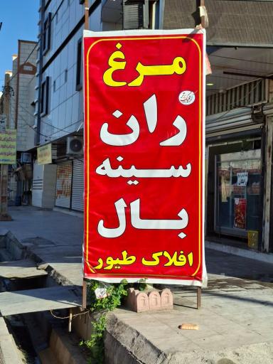 عکس پخش مرغ افلاک