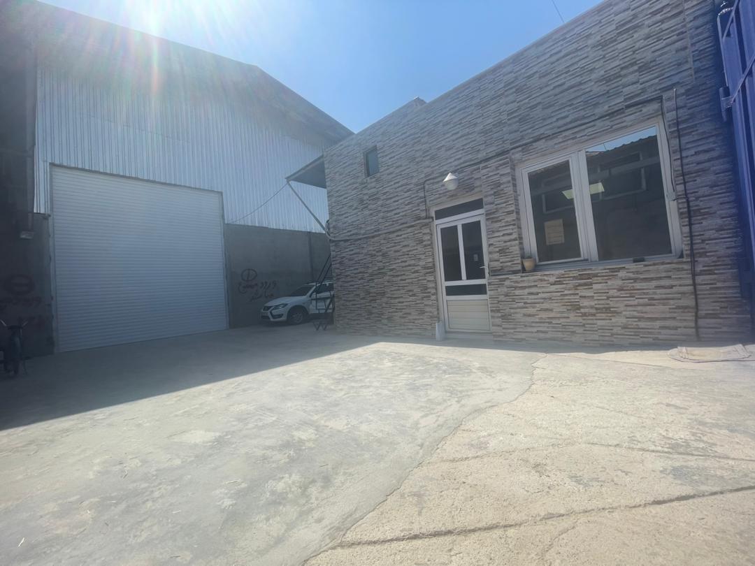 عکس تولید خوراک دام و طیور (دانه طیار)