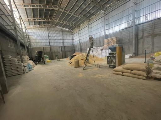 عکس تولید خوراک دام و طیور (دانه طیار)