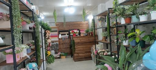 عکس بوتیک گل شهد یاس 