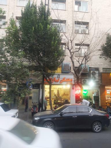 عکس مسکن پارسا